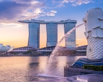 Kinh nghiệm du lịch Singapore tham quan Floral Fantasy Dome