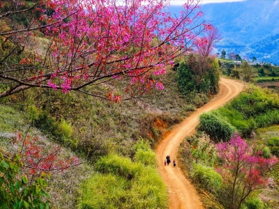 Khám phá du lịch Tây Bắc điểm đến lý tưởng trong chuyến du lịch hè