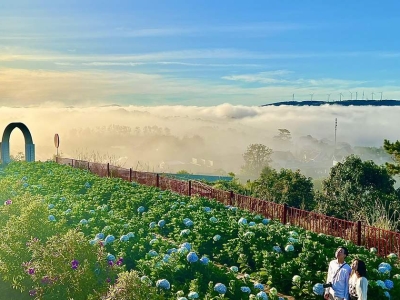 Đà Lạt mùa hè đẹp rụng rời bởi hoa phượng hồng