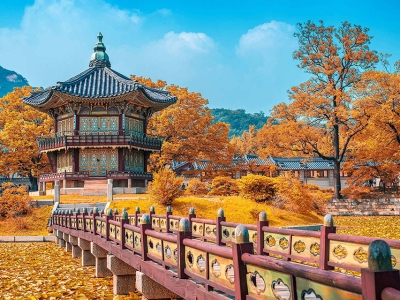 Định vị tọa độ những điểm ngắm mùa thu Hàn Quốc đẹp nhất