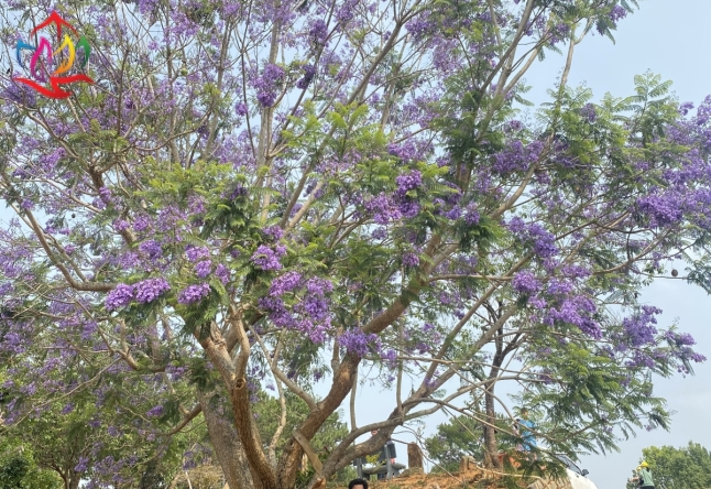 XIN CẢM ƠN ĐOÀN THAM QUAN TOUR ĐÀ LẠT 3N3Đ