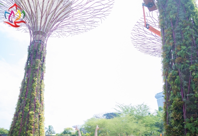 Singapore - Malaysia 4N3Đ 100 pax