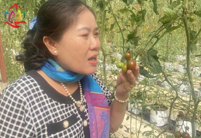 XIN CẢM ƠN ĐOÀN THAM QUAN TOUR ĐÀ LẠT 3N3Đ
