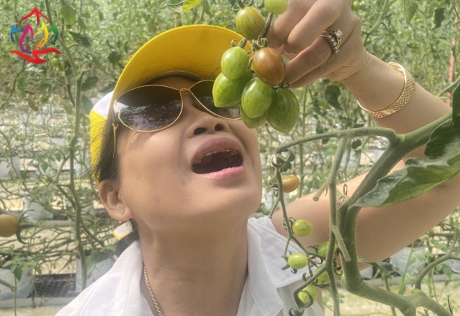 XIN CẢM ƠN ĐOÀN THAM QUAN TOUR ĐÀ LẠT 3N3Đ