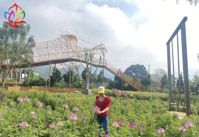 XIN CẢM ƠN ĐOÀN THAM QUAN TOUR ĐÀ LẠT 3N3Đ