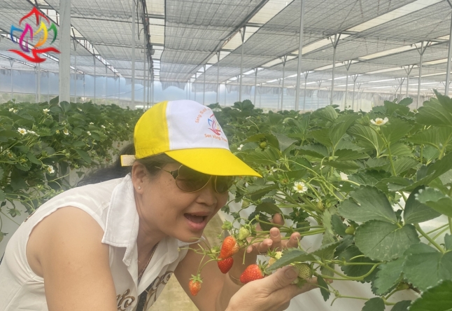 XIN CẢM ƠN ĐOÀN THAM QUAN TOUR ĐÀ LẠT 3N3Đ