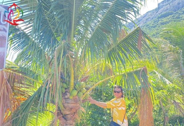Đảo bình hưng lễ 2/9