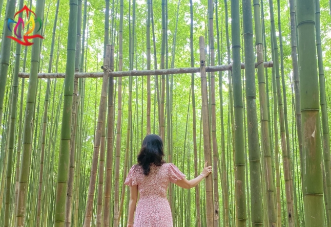 Tour Đông Bắc - Tây Bắc 9N8Đ