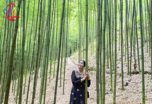 Tour Đông Bắc - Tây Bắc 9N8Đ