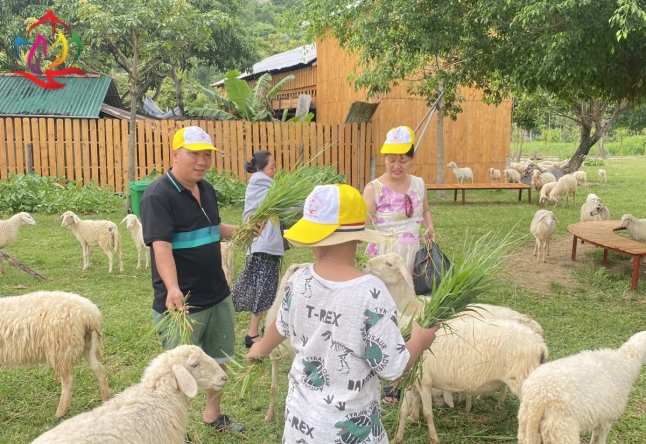 XIN CẢM ƠN ĐOÀN KHÁCH LẺ TP.HCM THAM QUAN ĐẢO BÌNH HƯNG 2N2Đ