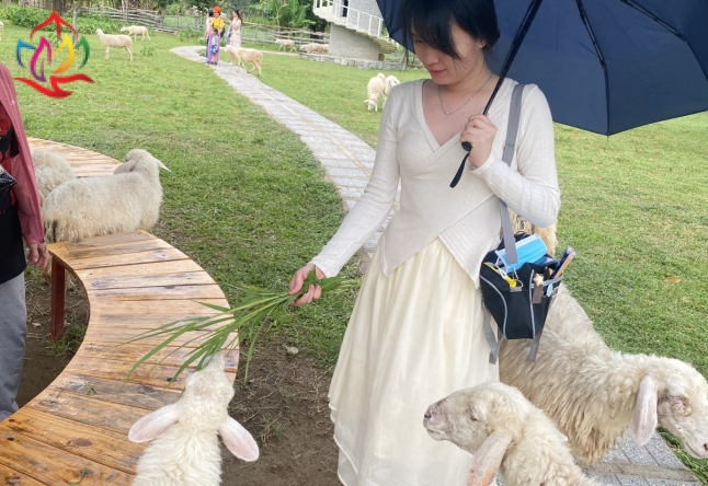 XIN CẢM ƠN ĐOÀN KHÁCH LẺ TP.HCM THAM QUAN ĐẢO BÌNH HƯNG 2N2Đ