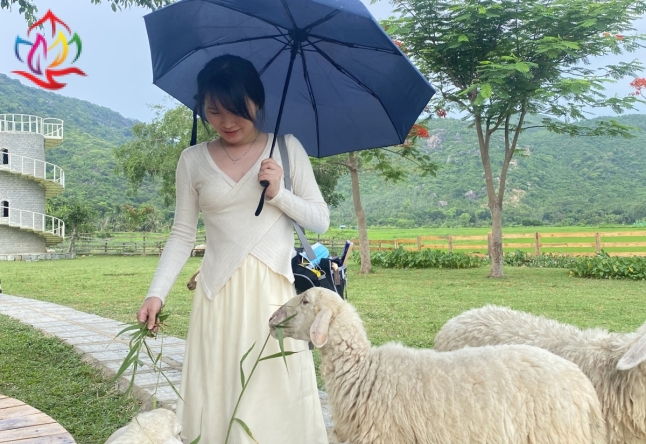 XIN CẢM ƠN ĐOÀN KHÁCH LẺ TP.HCM THAM QUAN ĐẢO BÌNH HƯNG 2N2Đ