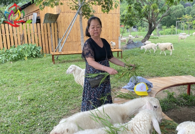 XIN CẢM ƠN ĐOÀN KHÁCH LẺ TP.HCM THAM QUAN ĐẢO BÌNH HƯNG 2N2Đ
