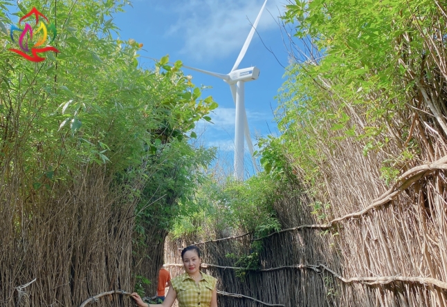 ĐẢO PHÚ QUÝ